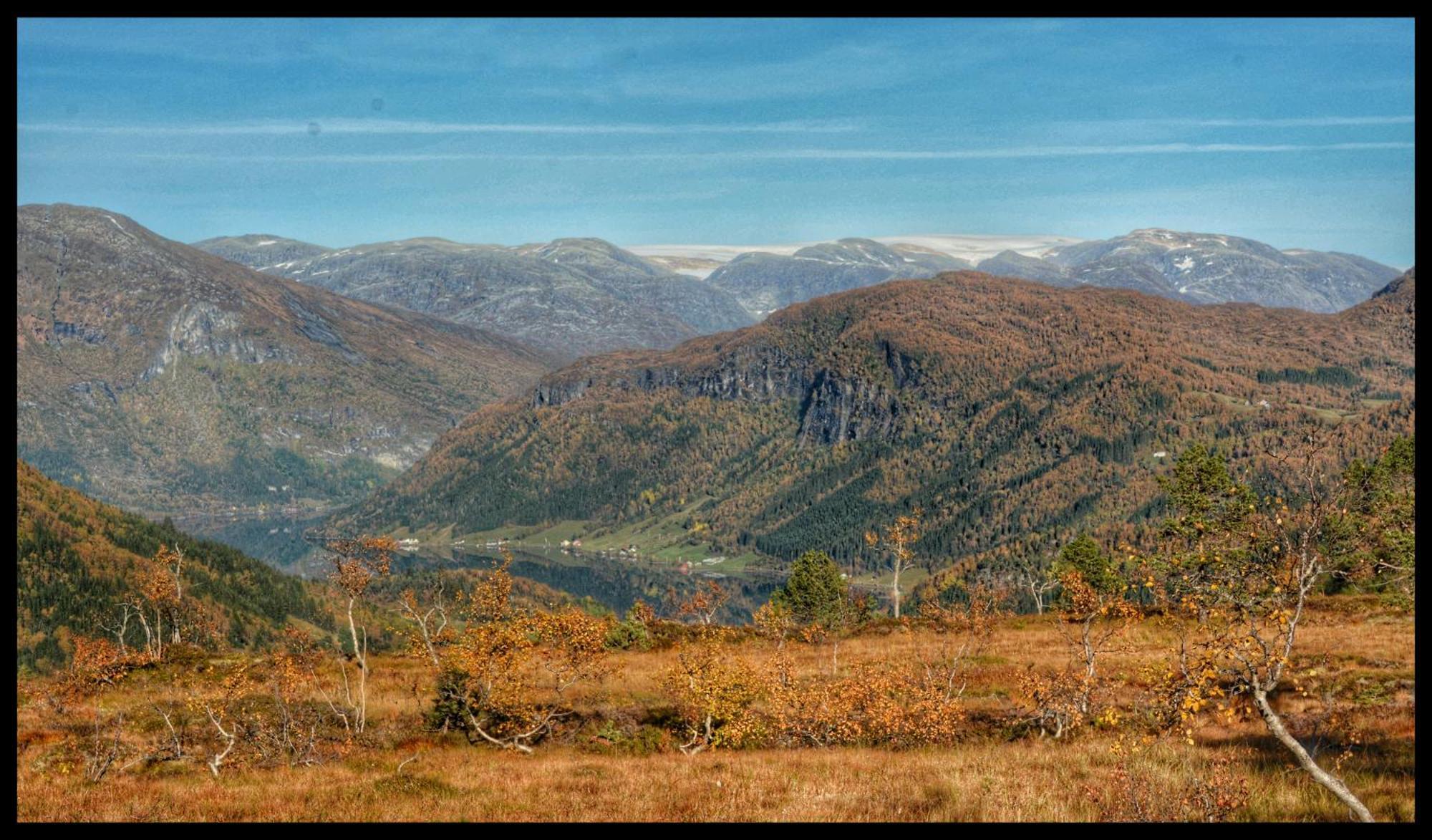Hotel Tuftegarden à Viksdalen Extérieur photo