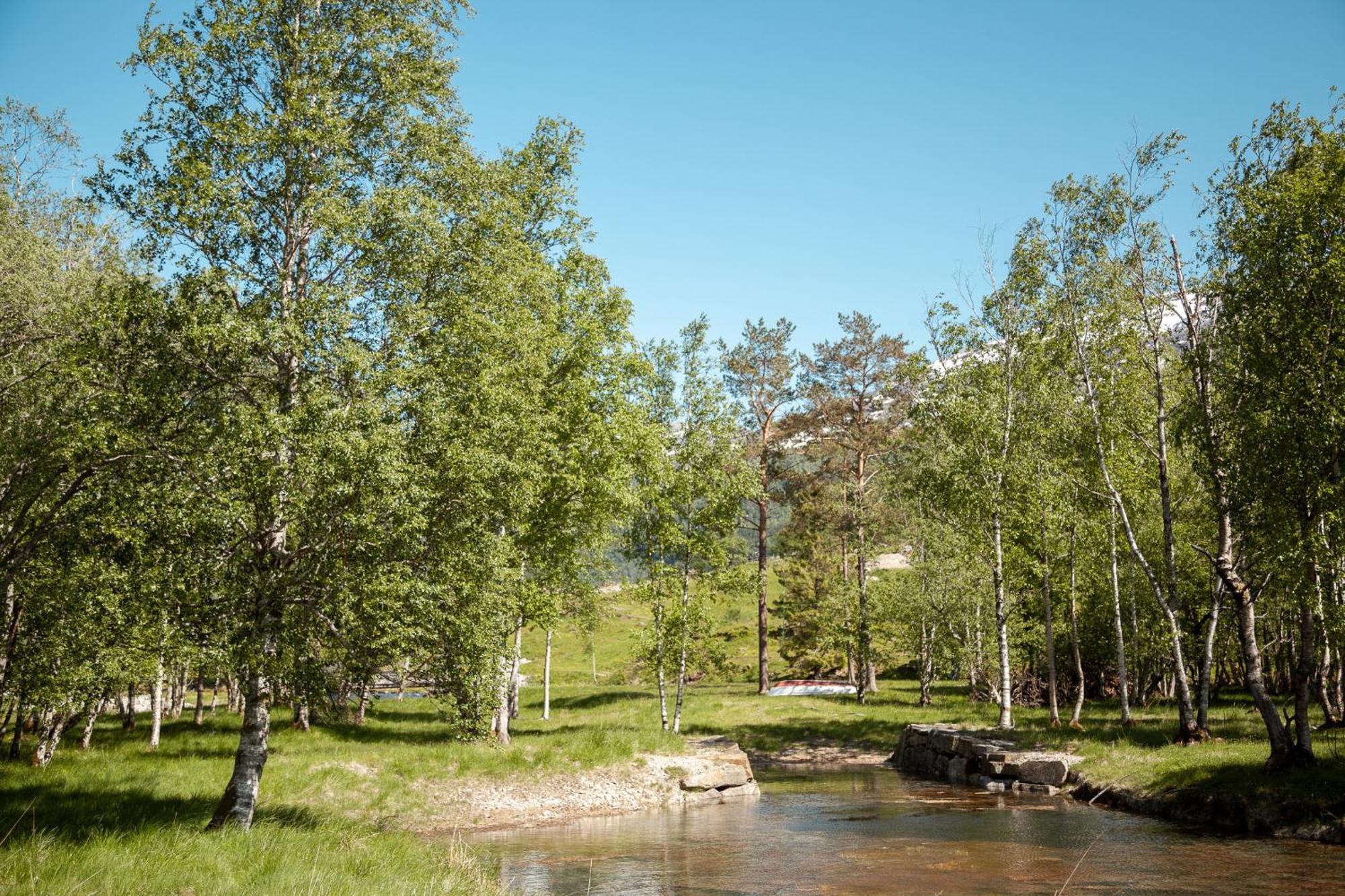 Hotel Tuftegarden à Viksdalen Extérieur photo