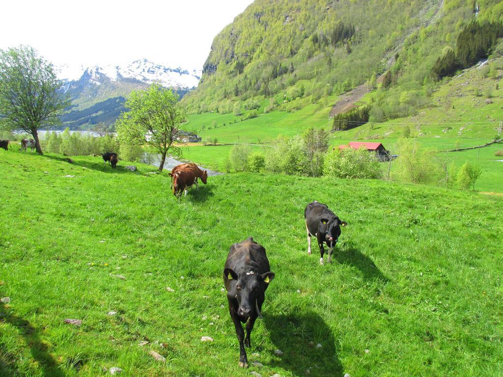 Hotel Tuftegarden à Viksdalen Extérieur photo